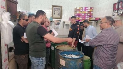 ضبط 1250 كجم سردين فاسدة وتحرير 4 محاضر في حملة تموينية بالقليوبية