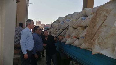 انطلاق موسم حصاد محصول القمح وتوريد 680 طن بالمنوفية ( صور )