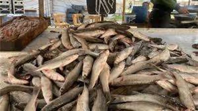 وسام الصفطي يطالب جميع المحافظات بالانضمام لحملة 