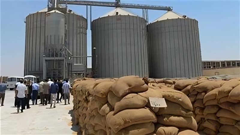 توريد 798 طن قمح