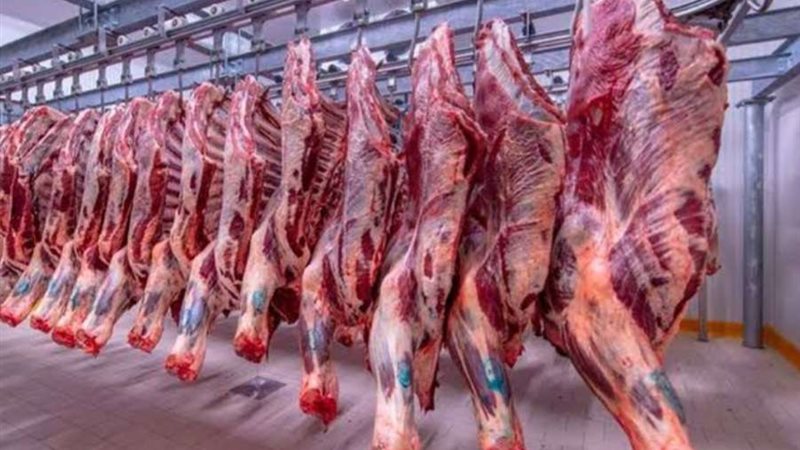 تراجع أسعار اللحوم