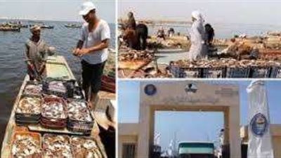 خاص| خبير اقتصادي يوضح أهمية بحيرة البردويل والمردود الاقتصادي منها