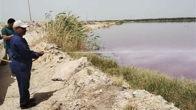 المنوفية تطلق حملة لمكافحة الذباب والبعوض وناقلات الأمراض