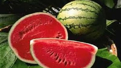 أول رد من القومي للبحوث بشأن البطيخ المسرطن