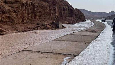 بعد تعرضها لأمطار شديدة.. سيول تضرب 3 أودية 