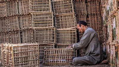 «صناعة الجريد».. مهنة تُصارع من أجل البقاء