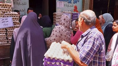 طبق البشاير بـ60 جنيه.. مبادرة لتخفيض سعر البيض في القليوبية