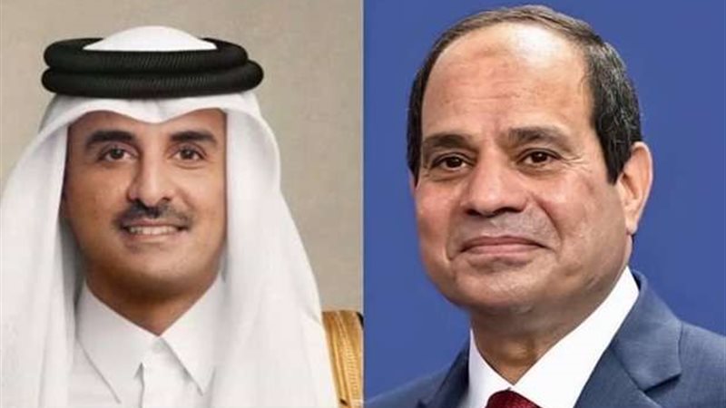 الرئيس عبد الفتاح