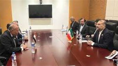 وزيرا خارجية مصر وإيران يبحثان التضامن الإسلامي والأزمة في غزة