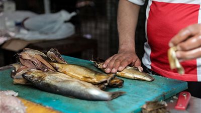 الكيلو بـ 180 جنيهًا .. أسعار الفسيخ والرنجة اليوم الأحد 5 مايو 2024