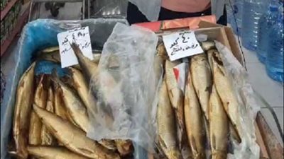 رئيس لجنة السلامة الغذائية تكشف كيفية اختيار الرنجة والفسيخ في شم النسيم