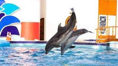 بعد غلقها لسنوات .. احتفالات الجمهور في شم النسيم بمنطقة الدولفين بأكتوبر