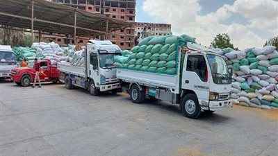 «التموين»: توريد 1.8 مليون طن قمح محلي و المستحقات خلال 48 ساعة