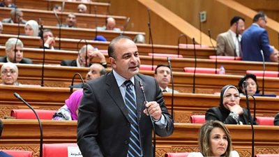 «التخطيط» تعلن رفض طلبات للقروض بـ39.3 مليار دولار منذ 2018