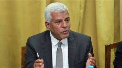 نقيب الزراعيين: 35 مليون طن حجم إنتاج مصر من الخضروات والفاكهة سنويا.. فيديو