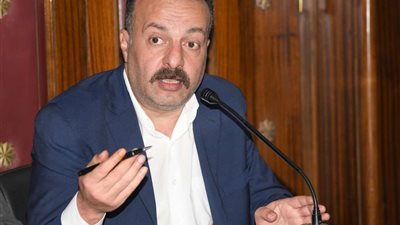 طاقة النواب: عضوية فلسطين بالأمم المتحدة خطوة لتحقيق السلام بالمنطقة