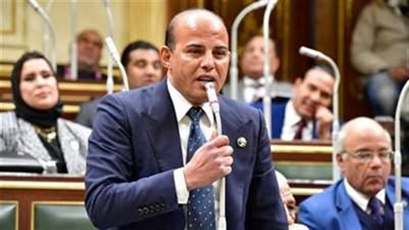 النائب عمرو القطامي