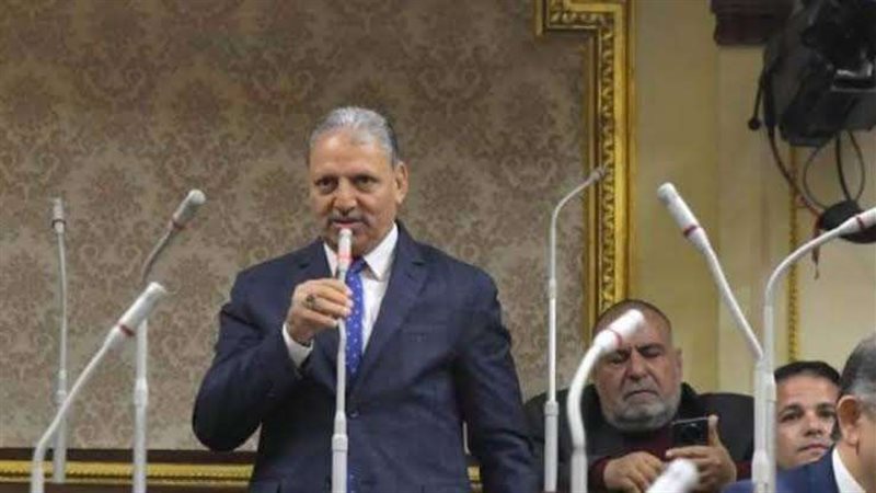 اللواء ابراهيم المصري