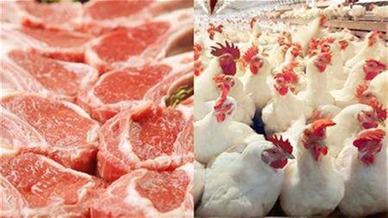 اسعار اللحوم والدواجن