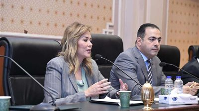 لجنة الشباب بمجلس النواب توصي بإضافة 210 مليون جنيه لاعتمادات الأكاديمية الوطنية للتدريب بموازنة 2024/2025