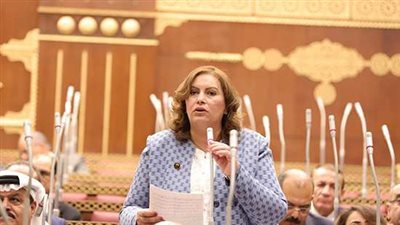 النائبة عايدة نصيف: الرئيس السيسي خلال القمة العربية أكد موقف مصر الثابت تجاه القضية الفلسطينية