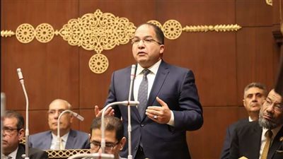 برلماني: كلمة السيسي بالقمة العربية رسمت مسار العمل المشترك لحلحلة القضية الفلسطينية