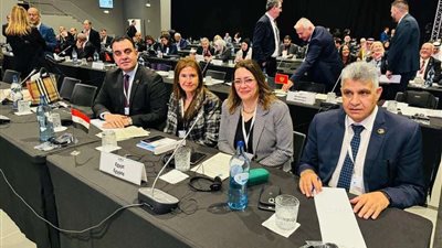 نائب التنسيقية محمد السباعي يشارك في فعاليات الجمعية العامة لبرلمان البحر الأبيض المتوسط