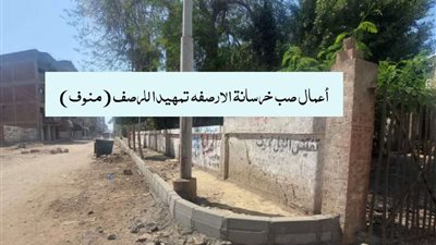شاهد.. خطط الرصف والتطوير بالمنوفية