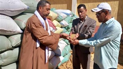 بالصور.. وكيل زراعة أسيوط يتابع أعمال توريد الأقماح