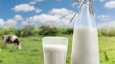 عضو شعبة الألبان يكشف عن أسباب ارتفاع الأسعار في فصل الصيف