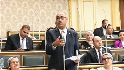 إيهاب منصور يرفض مشروع قانون خصخصة المستشفيات ويحذر من تداعياته على صحة المواطنين