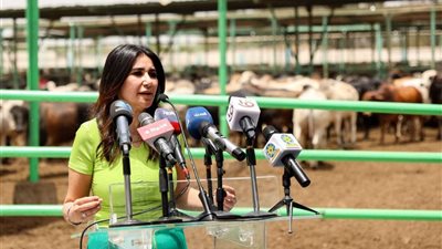 مروة أسامة: صكوك 