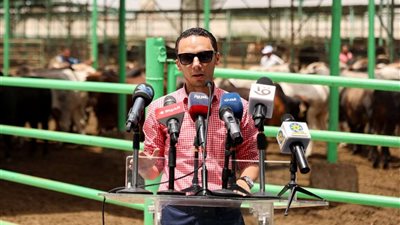 قيمته 8500 جنيه.. محمود المصري: إطلاق 