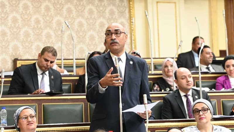 النائب إيهاب منصور