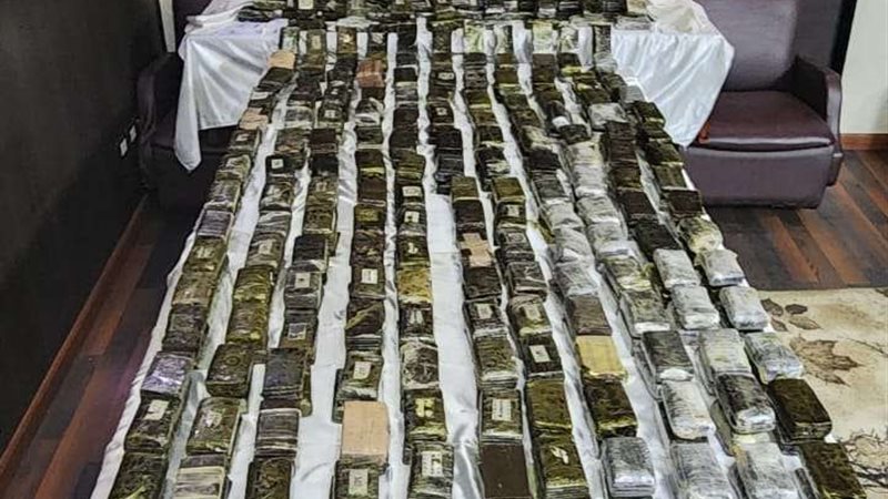 عصابة المخدرات