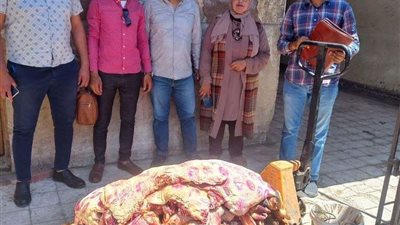 ضبط 460 كيلو لحوم فاسدة بسوهاج