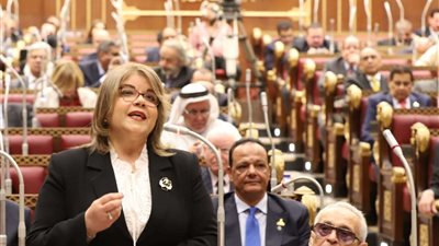 وكيل مجلس الشيوخ: خطة التنمية الاجتماعية والاقتصادية تضع نصب أعينها التغلب على الصعاب