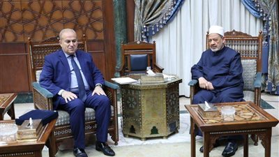 الإمام الأكبر يناقش مع مدير مركز القاهرة لتسوية النزاعات سبل تعزيز دور الأزهر في إفريقيا