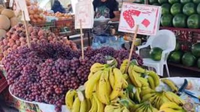 خاص| أسعار الفاكهة 