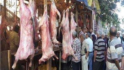 استقرار أسعار اللحوم وتوافر كميات كبيرة في الأسواق استعدادا لعيد الأضحى المبارك