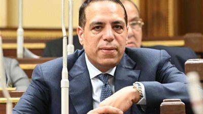 الصافي عبد العال: القمة المصرية الصينية تتويج للشراكة الاستراتيجية بين البلدين