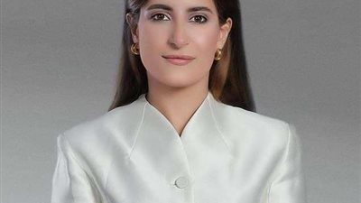 برلمانية: الرئيس السيسي حريص على تجديد دعوته للمجتمع الدولي لوقف الحرب على غزة