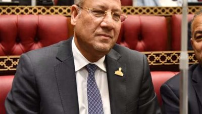 عمرو عكاشة: القمة العربية الصينية المرتقبة بالقاهرة تعكس دور مصر الريادي على الساحة الدولية