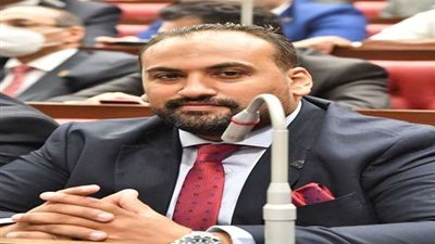 النائب محمد الرشيدي: كلمة الرئيس بالمنتدى الصيني العربي تعكس جهود مصر بالدفاع عن حق الشعب الفلسطيني