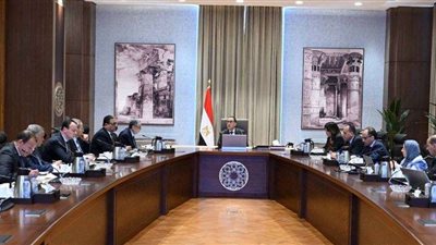 رئيس الوزراء يستعرض خطط رفع كفاءة شبكات الكهرباء