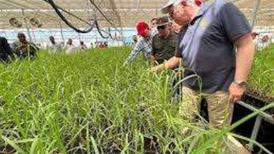 القصير يبحث موقف محطات شتلات القصب بأسوان