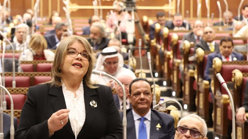 النائبة فيبي فوزي