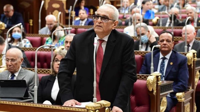 بهاء أبوشقة - وكيل