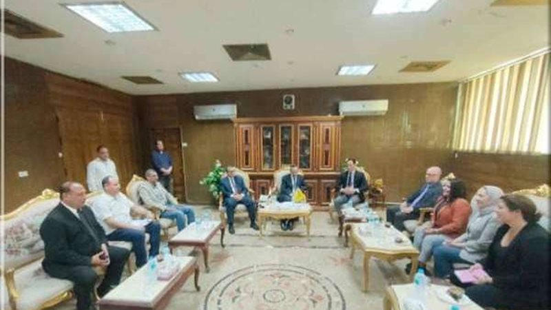 سيناء