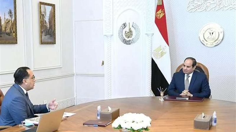 الرئيس السيسي والدكتور